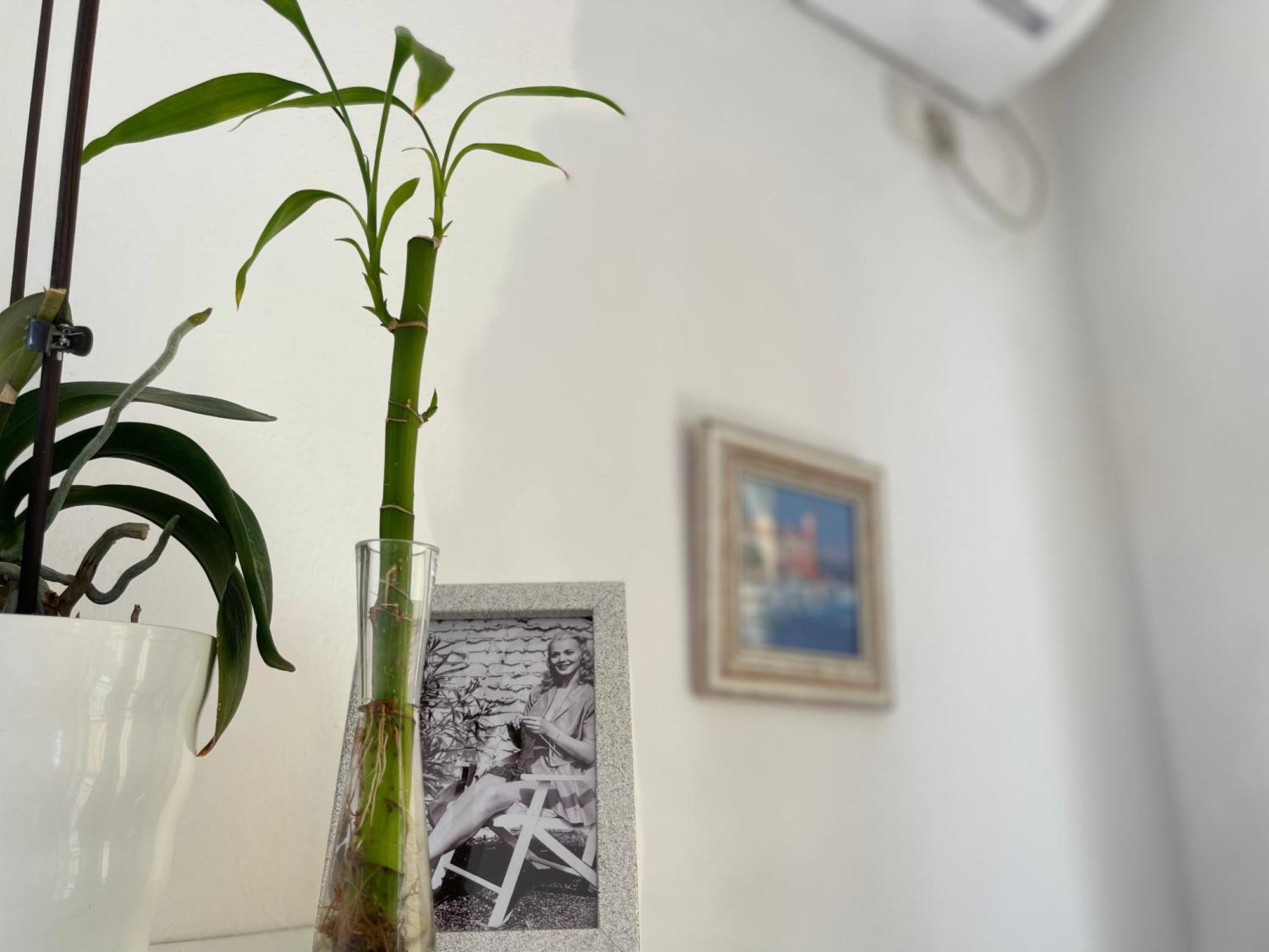 Kristi Apartment 2 Min To Sea Netflix & Espresso Station Sarandë Exteriör bild